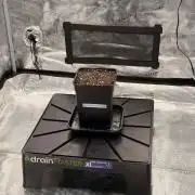 Godfather OG | Second Grow