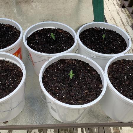 Grow 2026