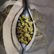 Sour Kush - QCS