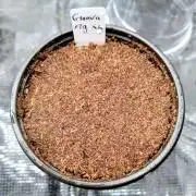 Guava Fig - Mephisto