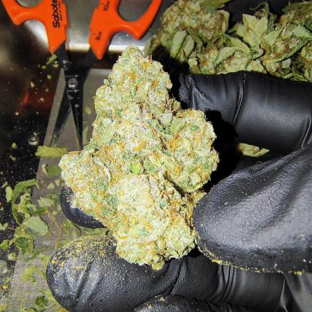 Blueberry - QCS