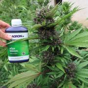South Moravian outdoor garden 2026