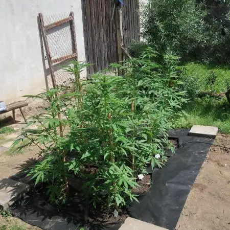 South Moravian outdoor garden 2026