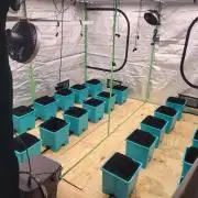 Beginning 10x10