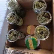 Hindu auto