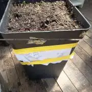 Hindukush auto SenS