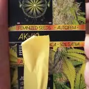 ak 49 auto