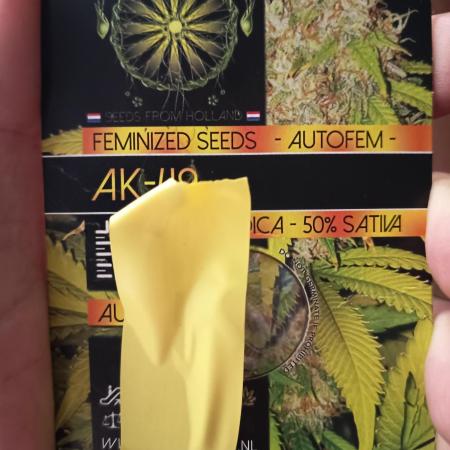 ak 49 auto