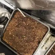 hindukush auto sensi seeds
