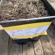 Ak 49 auto VS