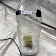 Run hydro