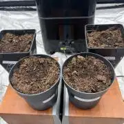 L’ETS GROW !