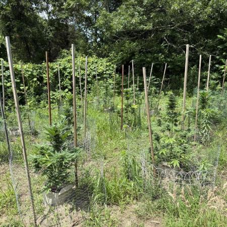 Autos indoor to outdoor