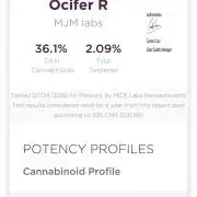 Indoor Ocifer