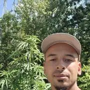 Bubba kush barneys + herbies freebies