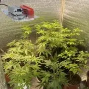 #Neverstopgrowing 2.0