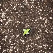 Guava Sundae Auto - Outdoor Diary 2026