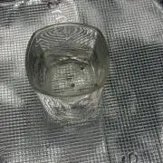 Second Grow CGA