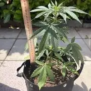 First time