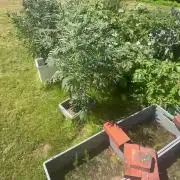 New Auto Grow
