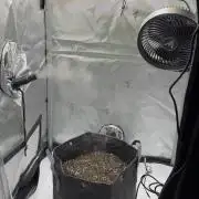 First Run