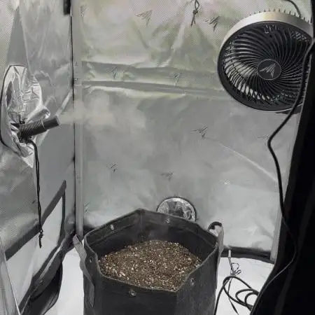 First Run