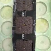 Grow 1