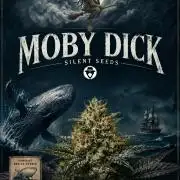 Moby dick! outdoor Silent Seeds(dinafem)