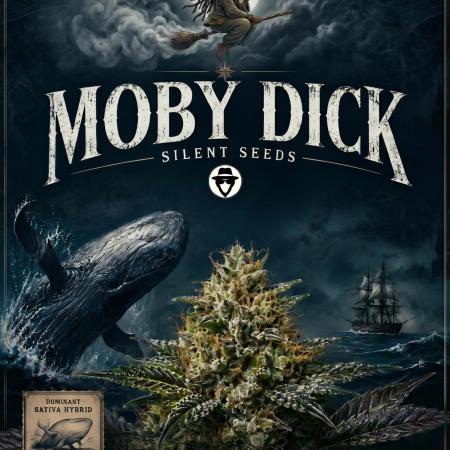 Moby dick! outdoor Silent Seeds(dinafem)