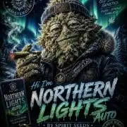Northern lights auto Spirit Seeds