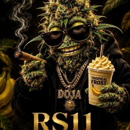 all eyes on weed
