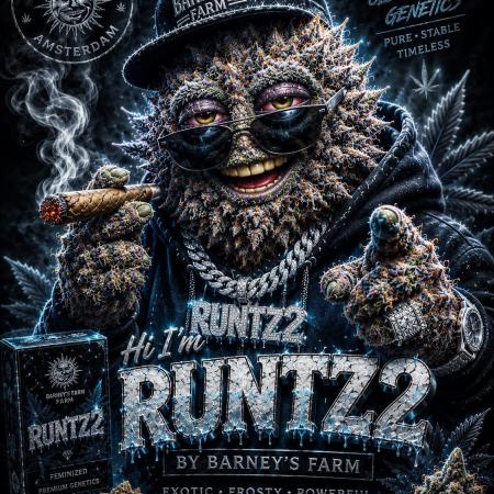 Runtz auto 2
