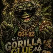 Outdoor experience GG4#