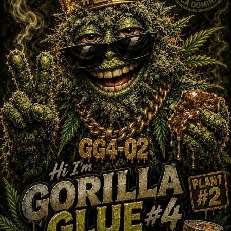 Outdoor experience GG4#