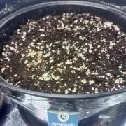 3. Perpetual grow