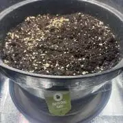 4. Perpetual grow
