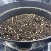 2. Perpetual grow