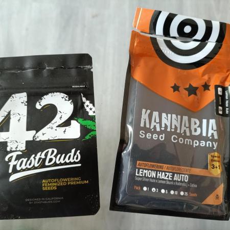 GROWBOX 3 (14.+15.+16.)