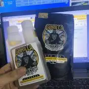 Cassiana de Catas Altas