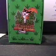 Blackberry Moonrocks - grow 10