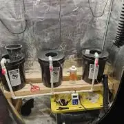 Gorilla Tent Project