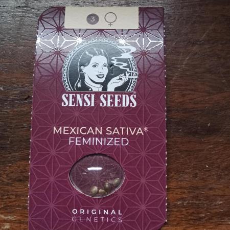 Mexican Sativa