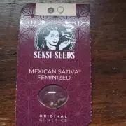 Mexican Sativa