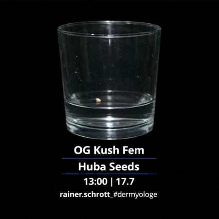 OG Kush Huba Seed Bank first run