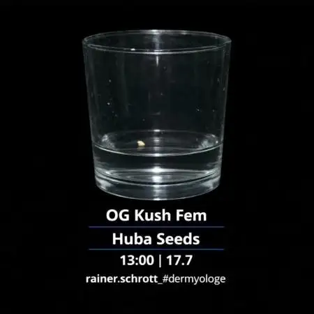 OG Kush Huba Seed Bank first run