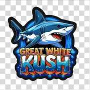 Great White Kush Huba Seed Bank
