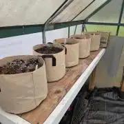 First Grow