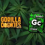 FastBuds - Green Crack x Gorilla Cookies