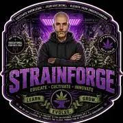 Strainforge Lab
