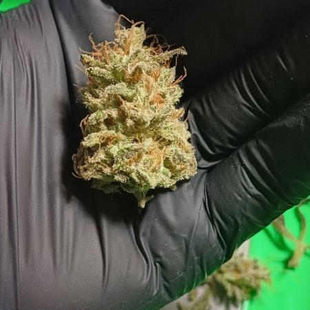 Pineapple Express